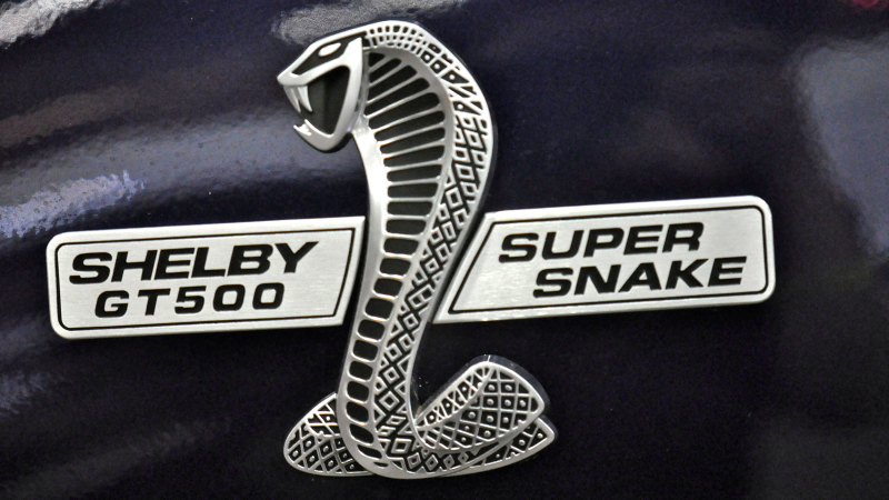 Illustration for article titled Shelby GT500 Super Snake escapes to New York